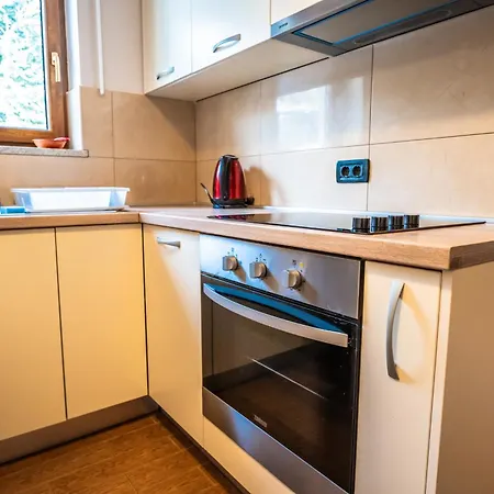 Kuca Za Odmor Vesna Holiday home *